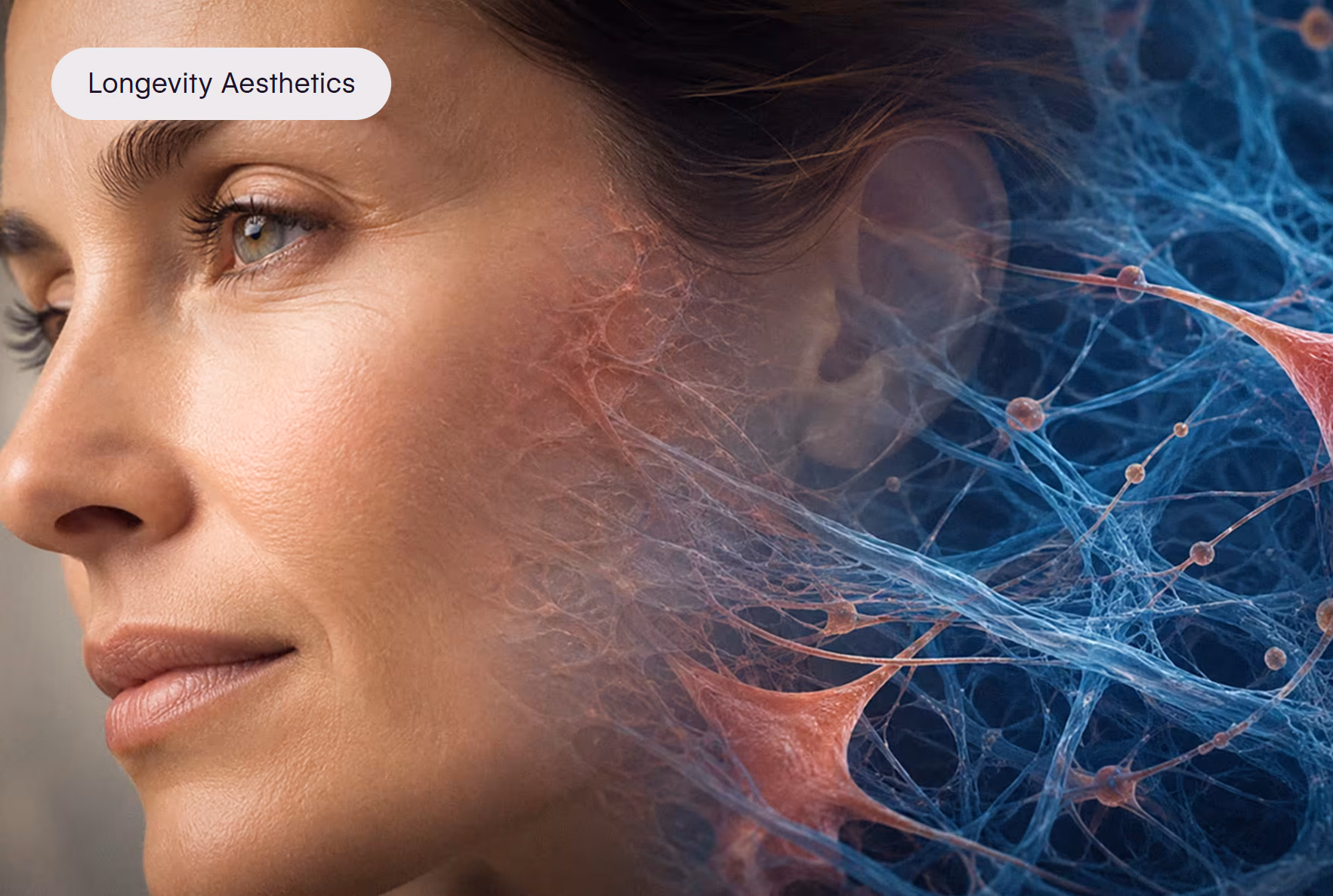iGlowly article: Longevity Aesthetics
